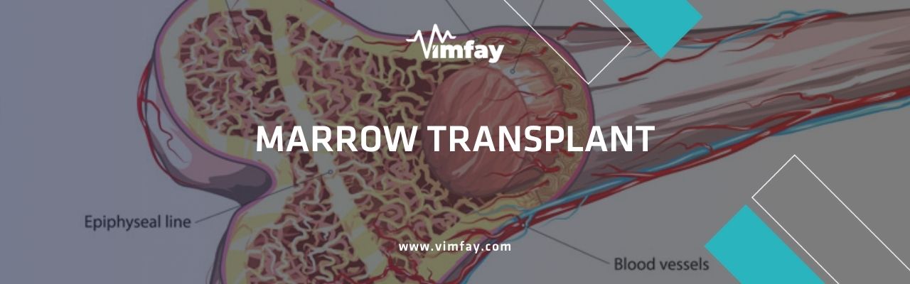 Marrow Transplant