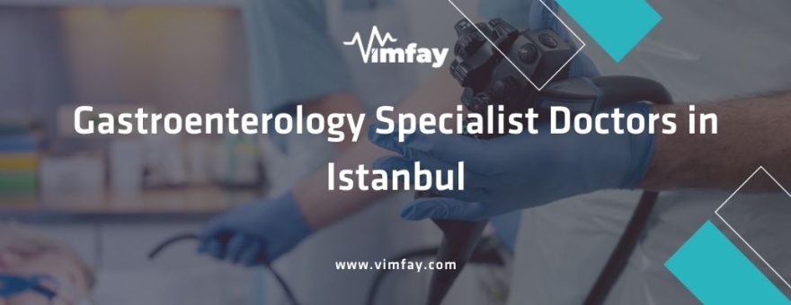 Gastroenterology Specialist Doctors in Istanbul