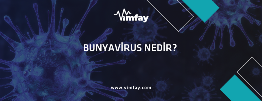 Bunyavirus Nedir?