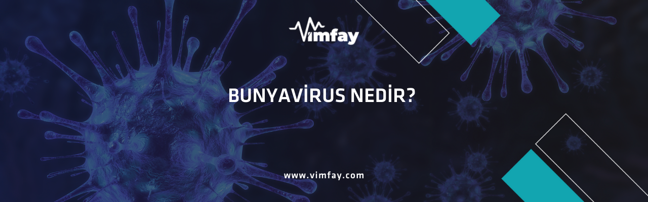 Bunyavirus Nedir?