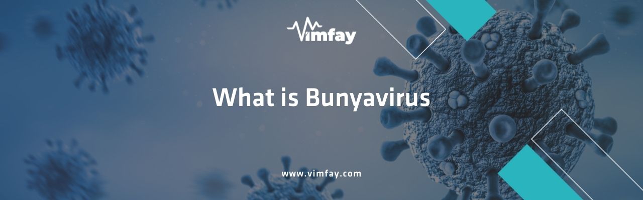 What Is Bunyavirus