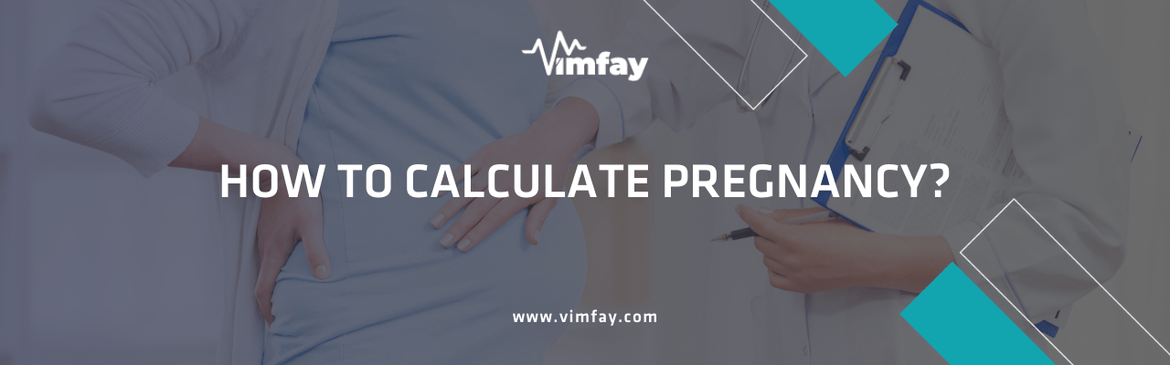 How To Calculate Pregnancy?