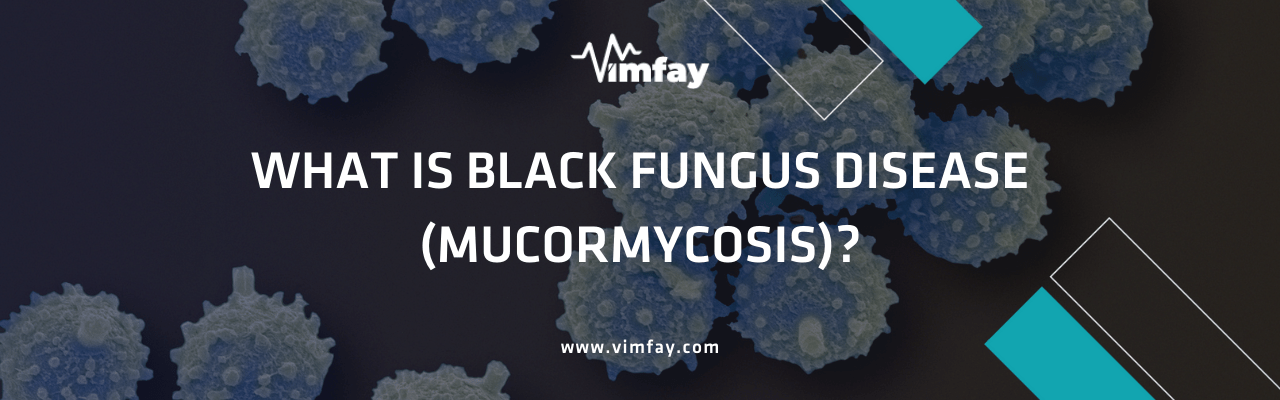 What Is Black Fungus Dısease (Mucormycosıs)