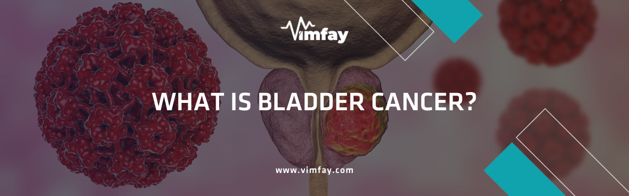 What Is Bladder Cancer