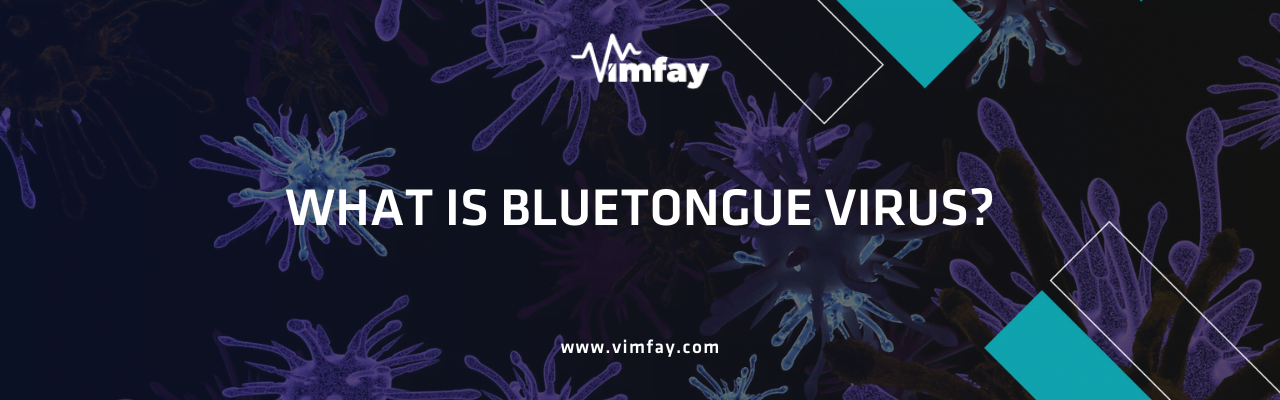 What Is Bluetongue Vırus