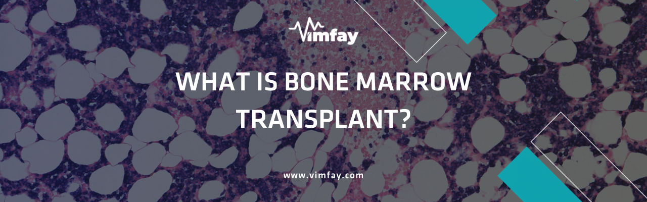 What Is Bone Marrow Transplant