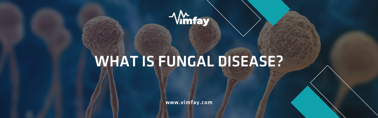 What Is Fungal Dısease