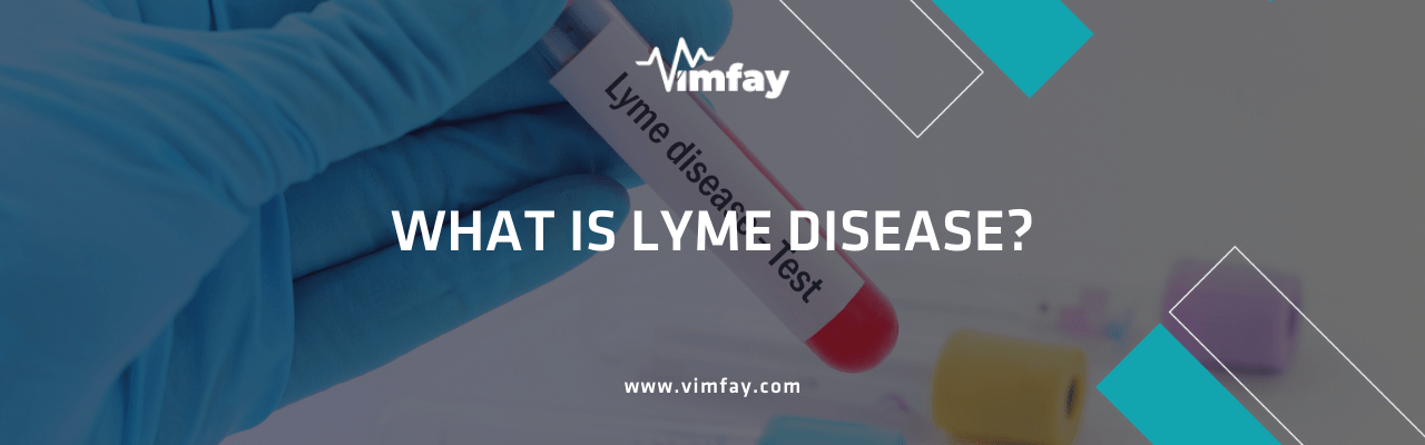 What Is Lyme Dısease
