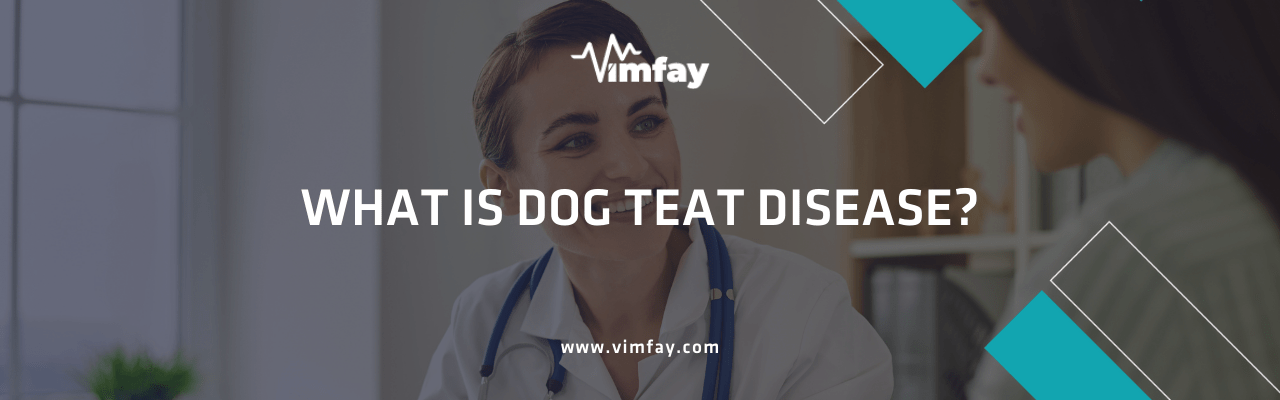 What Is Dog Teat Dısease