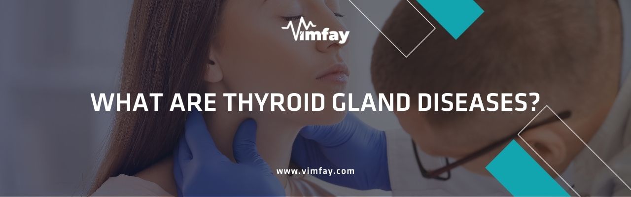 What Are Thyroid Gland Diseases