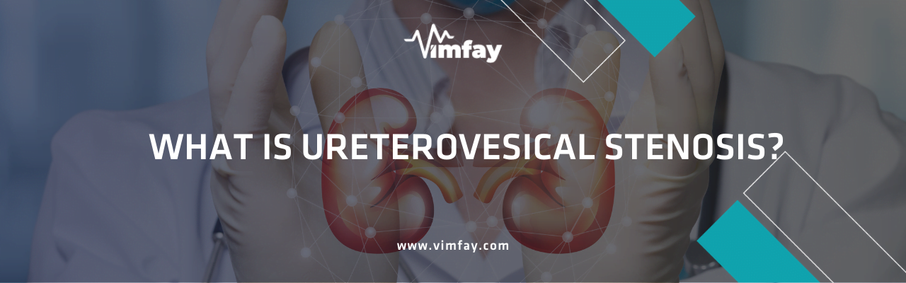 What Is Ureterovesical Stenosis