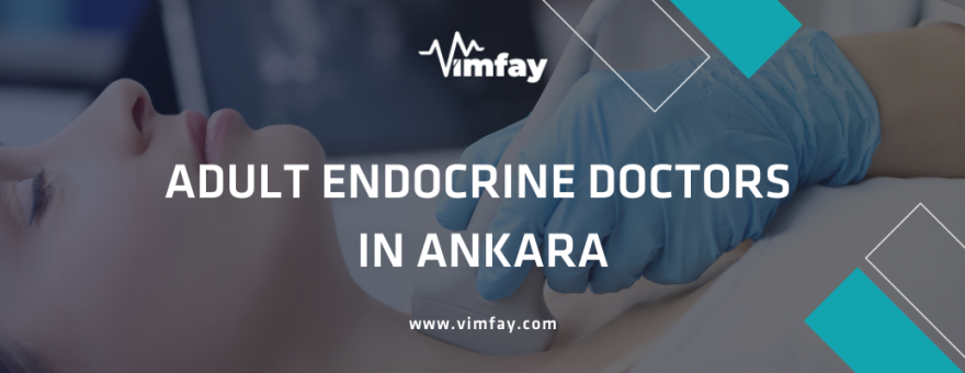 Adult Endocrine Doctors in Ankara