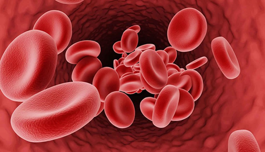 What Is Mediterranean Anemia (Thalassemia)?, Its Symptoms And Treatment In Turkey 2023 2 Beta Thalassemia