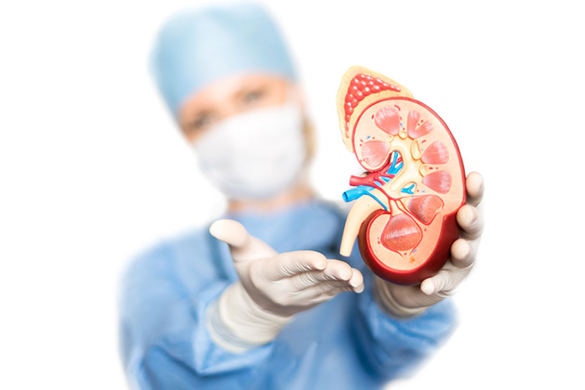 Kidney Transplant 1 Kidney Transplant 20180817115708