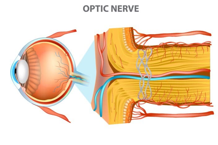 Optic Atrophy Treatment Prices In Turkey 2023 16 Shutterstock 1137825350 704X469 1