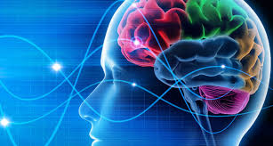 ما هي بطارية الدماغ (التحفيز العميق للدماغ في مرض باركنسون)؟ 17 Images 8